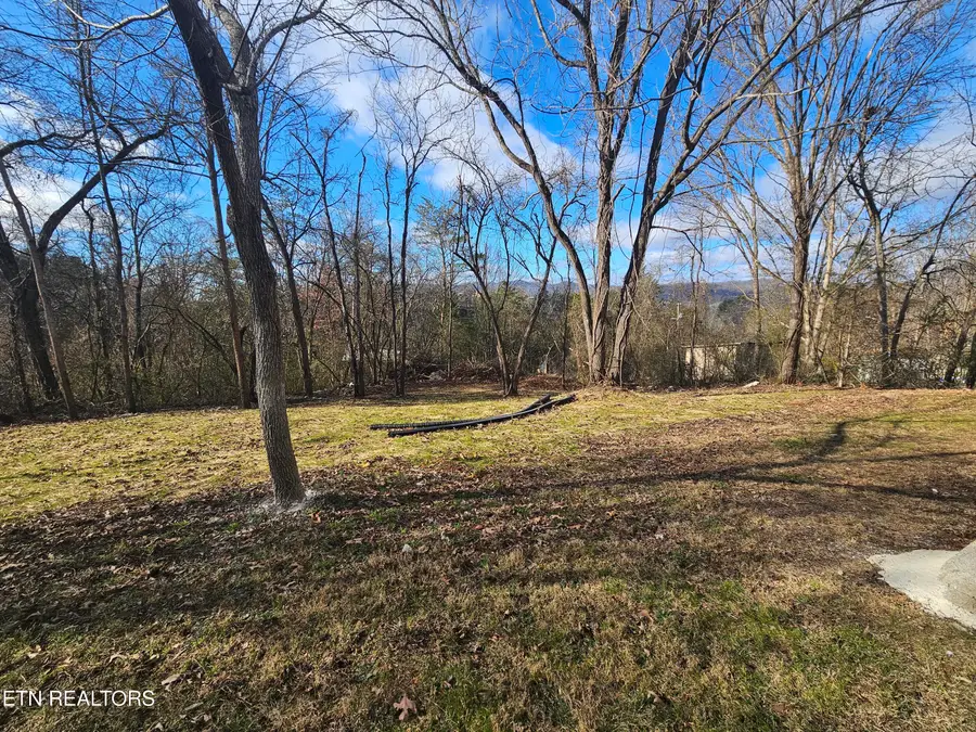 144 Stratford Rd, Harrogate, TN 37752 - Image #3