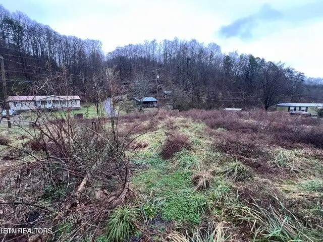 117 Tanyard Lp, Calvin, KY 40813 - Image #1