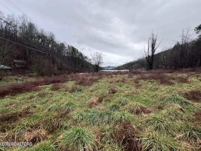 117 Tanyard Lp, Calvin, KY 40813 - Image #2