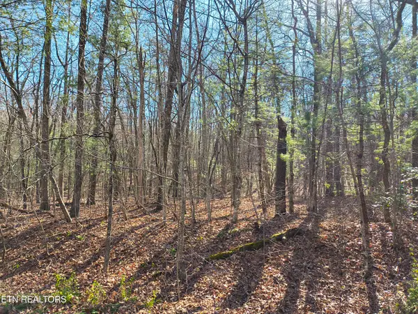 224 Newgate Rd, Crossville, TN 38558