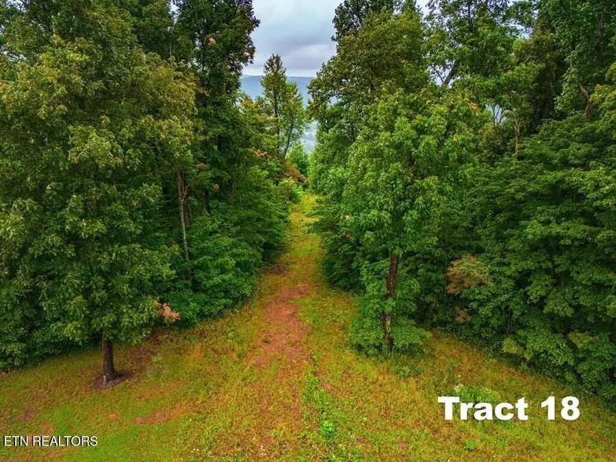 0 Bear Knob Lane, Crawford, TN 38554 - #2