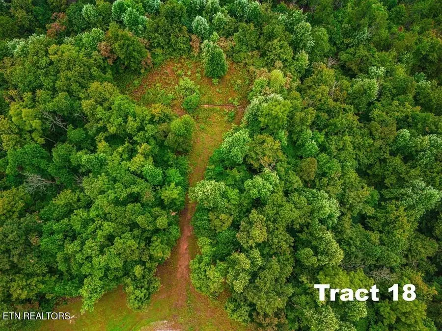 0 Bear Knob Lane, Crawford, TN 38554 - #3