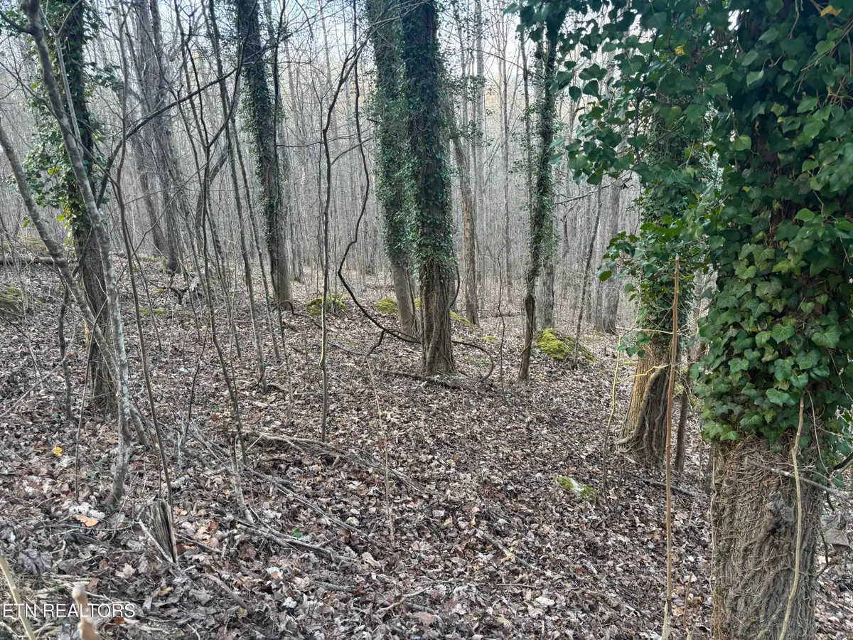 Kay Drive, Lafollette, TN 37766 - Image #1