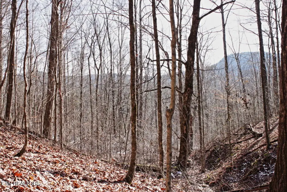 Cheynne Drive, Jamestown, TN 38556 - Image #1