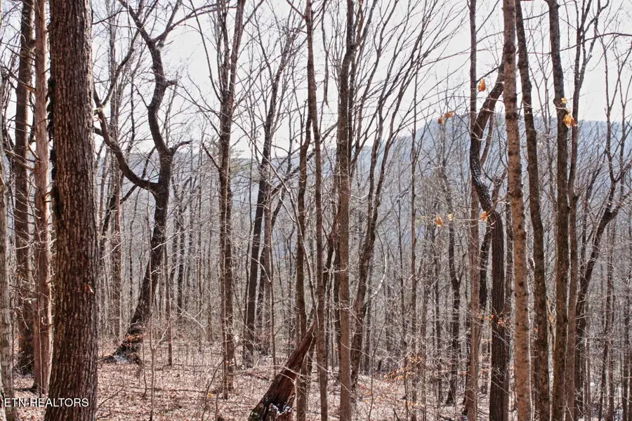 Cheynne Drive, Jamestown, TN 38556 - Image #2