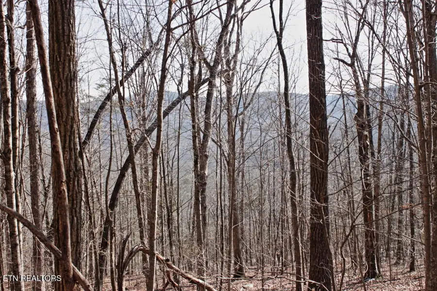 Cheynne Drive, Jamestown, TN 38556 - Image #3