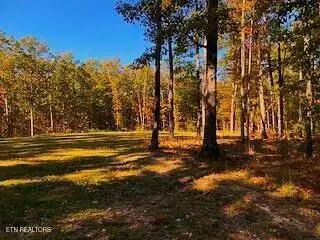 833 Little Hurricane Lane, Monterey, TN 38574 - #3