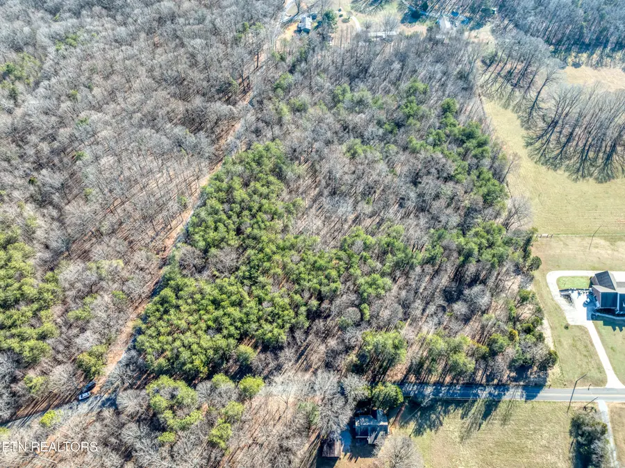 County Rd. 260 Lot 3, Niota, TN 37826 - Image #3