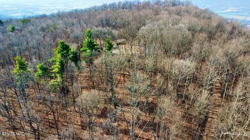 654 Briley Rd, Spring City, TN 37381 - Image #2