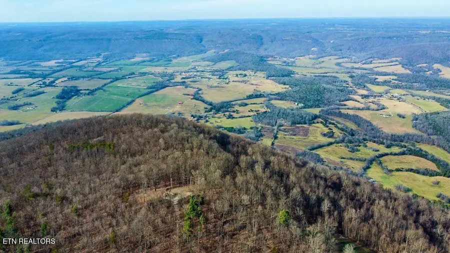 654 Briley Rd, Spring City, TN 37381 - Image #3