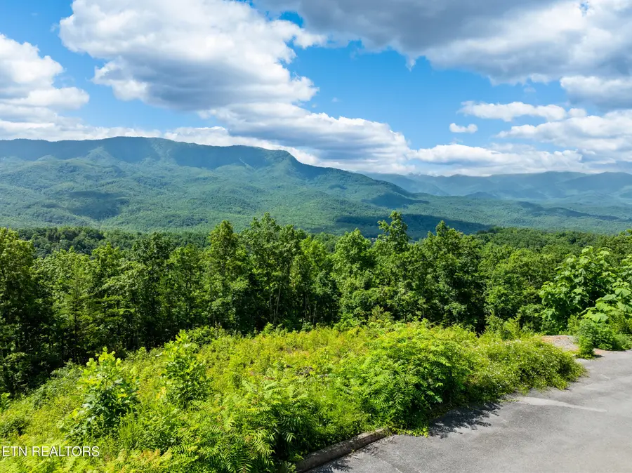 648 Almost Heaven Way, Gatlinburg, TN 37738 - #3