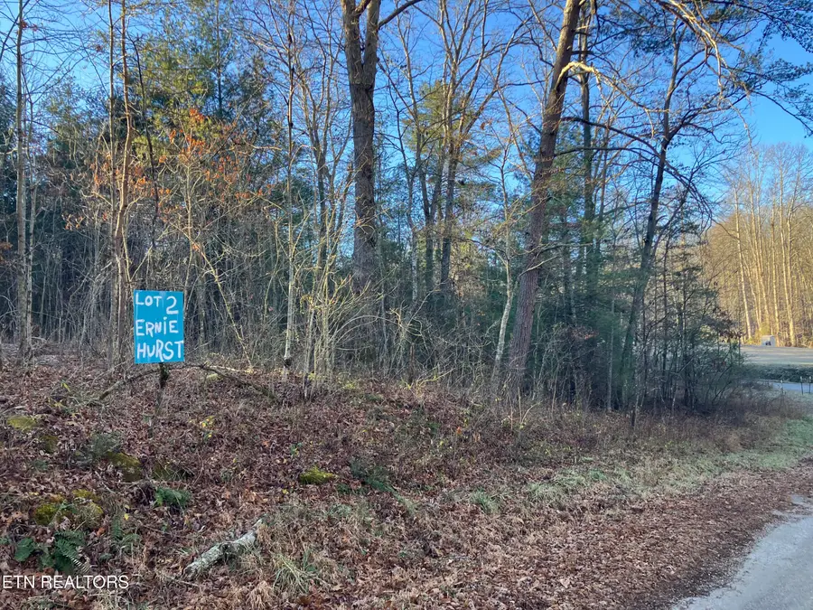 116 Ernie Hurst Rd, Deer Lodge, TN 37726 - Image #2