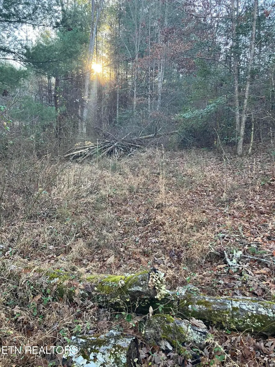 116 Ernie Hurst Rd, Deer Lodge, TN 37726 - Image #3