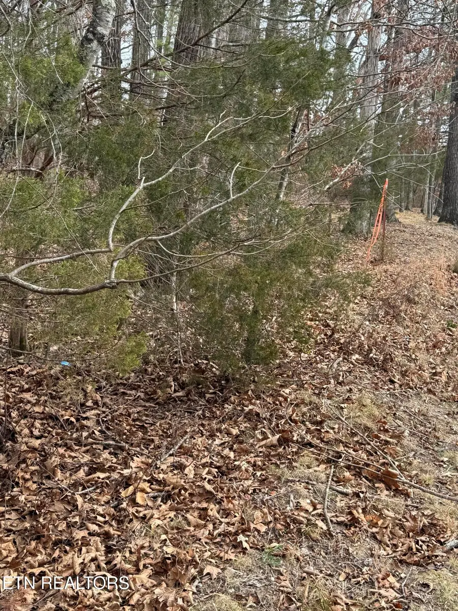 Lot3 Ritchey Rd, Loudon, TN 37774 - Image #2