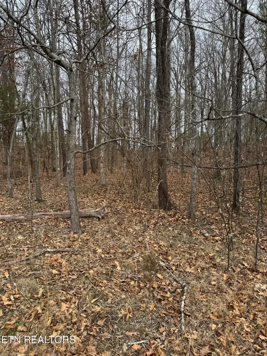 Lot3 Ritchey Rd, Loudon, TN 37774 - Image #3