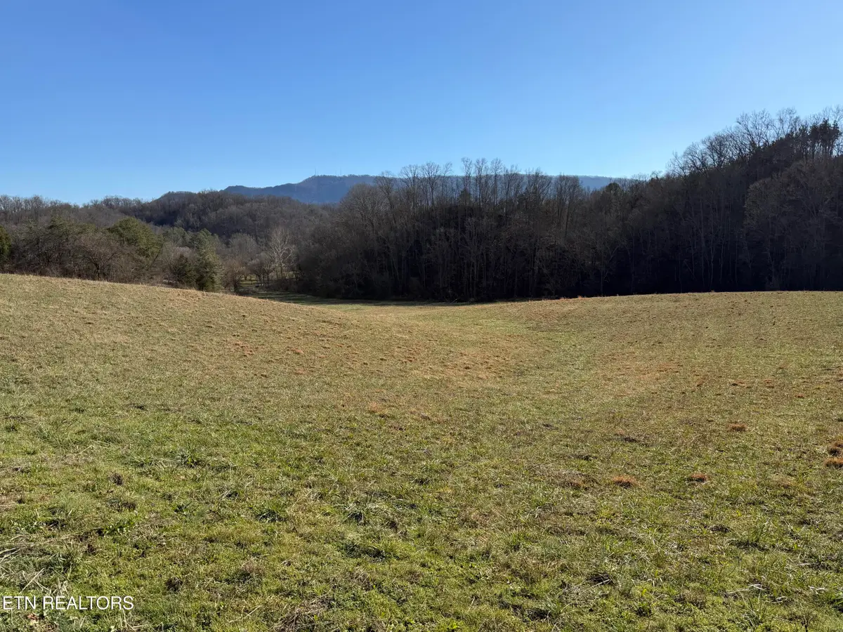 0 Dupont, Seymour, TN 37865 - Image #1