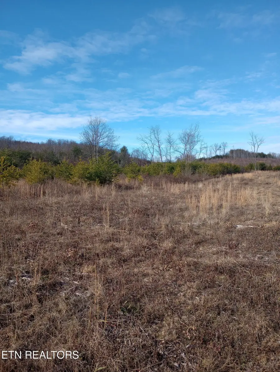 Allen Burgess Rd, Crossville, TN 38572 - Image #2