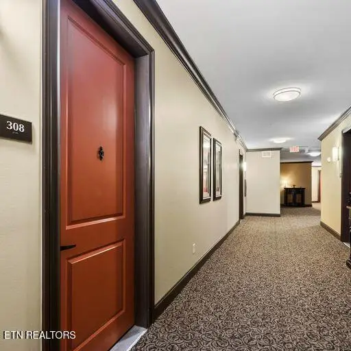 445 W W. Blount Ave Ave #308, Knoxville, TN 37920 - Image #2