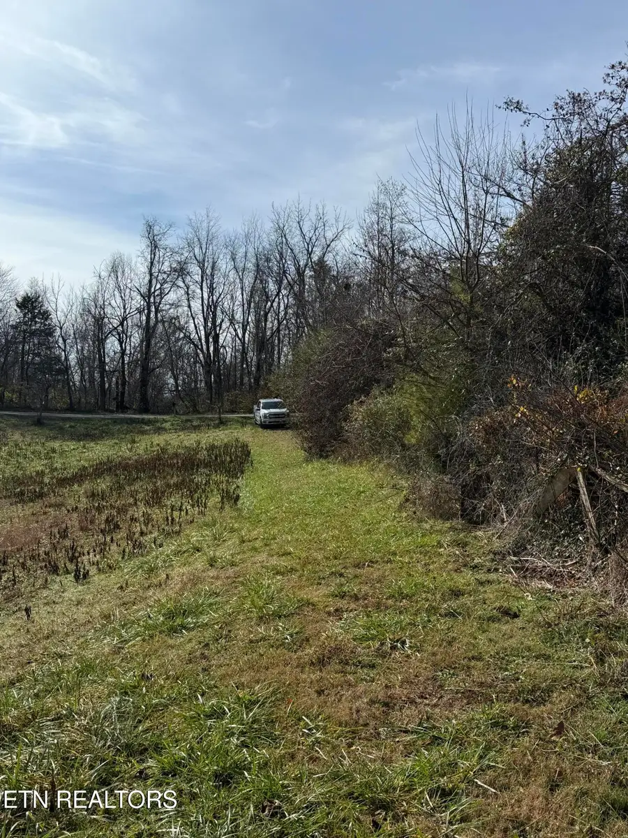 132 Sunset Hills Lane, New Tazewell, TN 37825 - Image #3