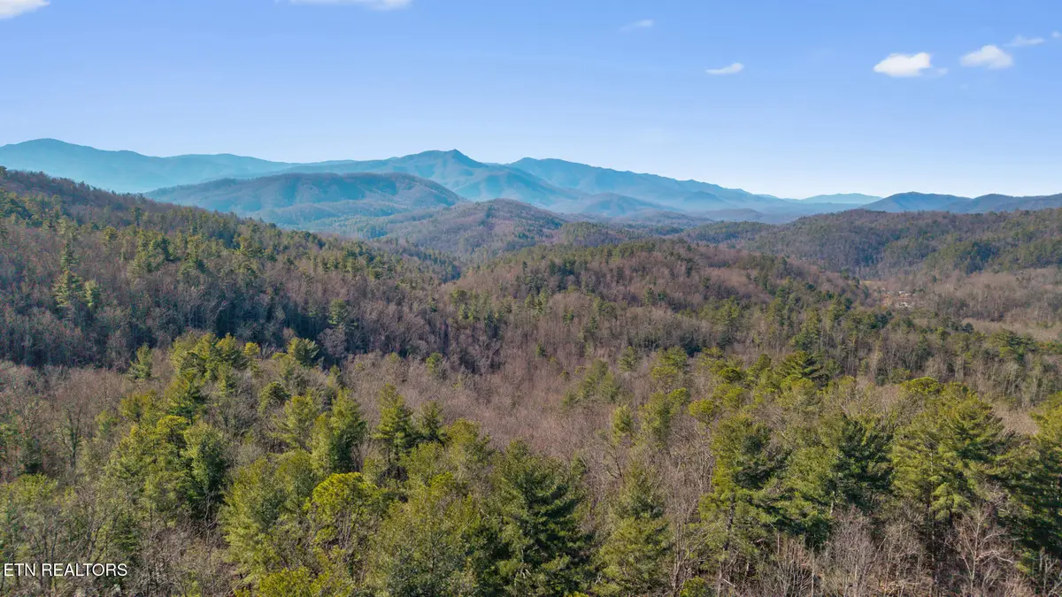 4855 Teague Branch Rd, Hartford, TN 37753 - Image #1