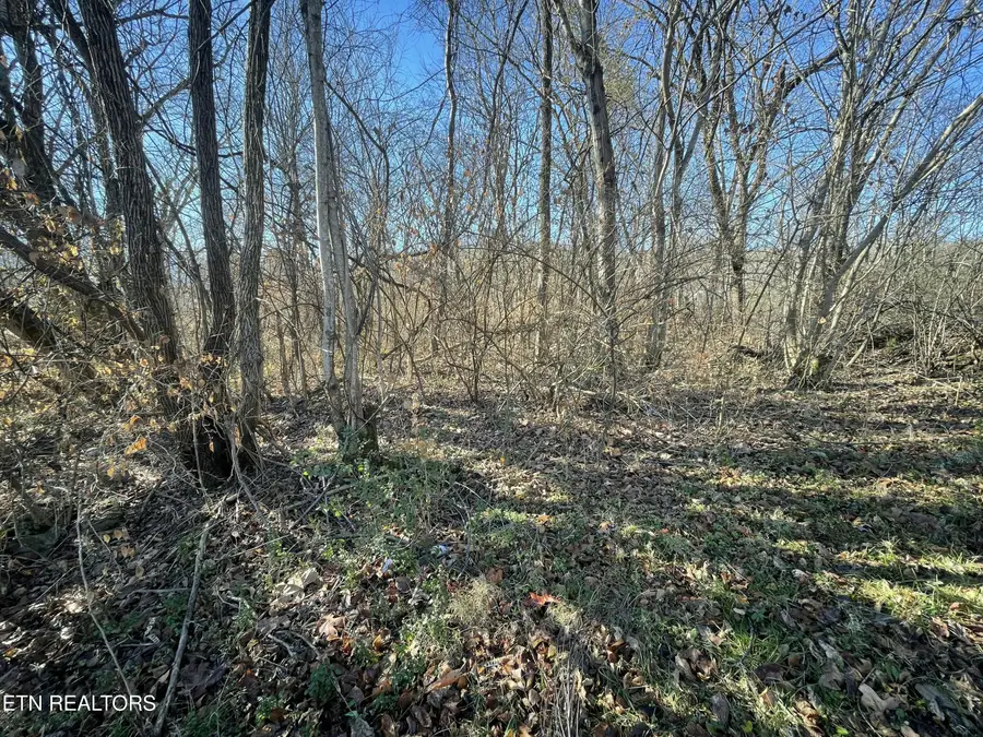 0 County Road 890, Etowah, TN 37331 - Image #2