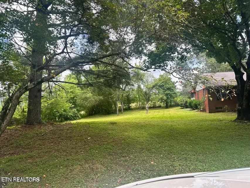 1123 Pleasant Ridge Rd, La Follette, TN 37766 - #2