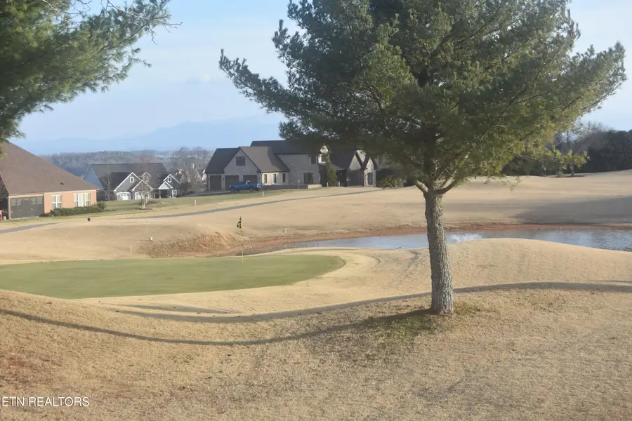 108 White Hawk Drive, Vonore, TN 37885 - Image #3