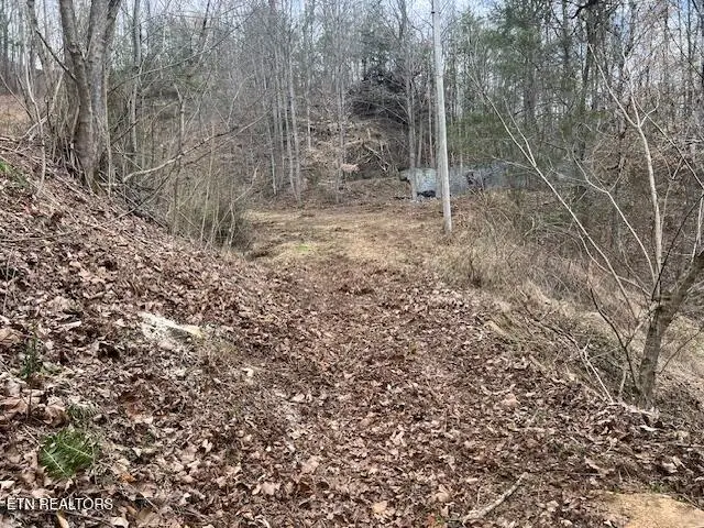 3071 Mica Way, Cosby, TN 37722 - Image #1