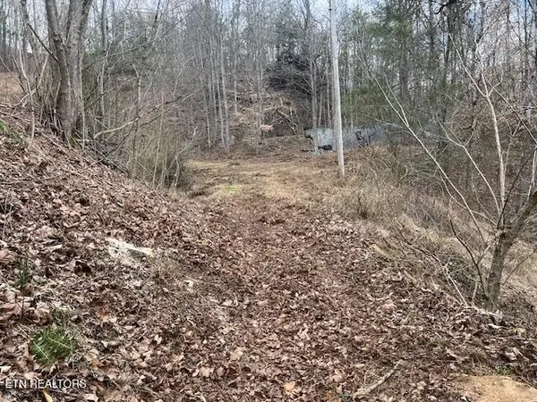 3071 Mica Way, Cosby, TN 37722