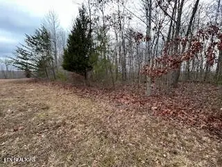 50245, 50194, 50148 Buckeye Lane, Crawford, TN 38554 - #2