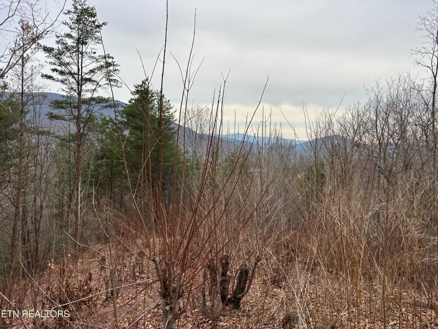 Lot 19 Dogwood Ridge Way, Sevierville, TN 37862 - Image #2