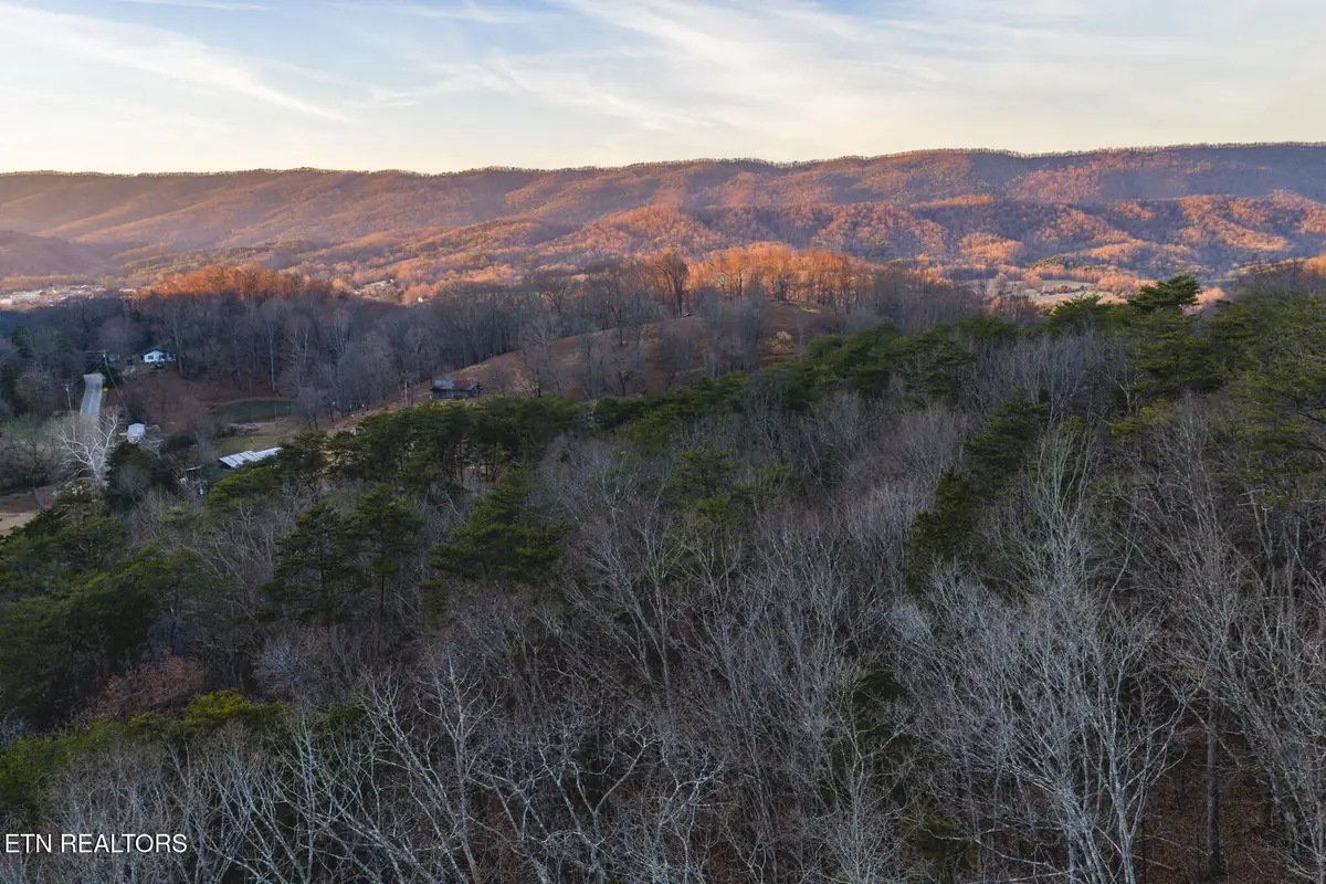 1655 Lester Whitt Rd, Rutledge, TN 37861 - Image #1