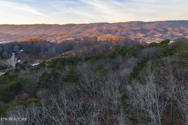 1655 Lester Whitt Rd, Rutledge, TN 37861