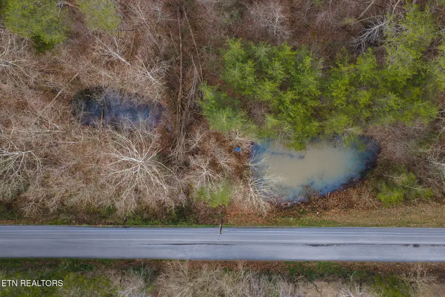 1655 Lester Whitt Rd, Rutledge, TN 37861 - Image #3