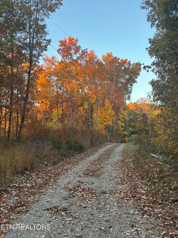 27.42 AC Black Mountain Road Rd, Tellico Plains, TN 37385