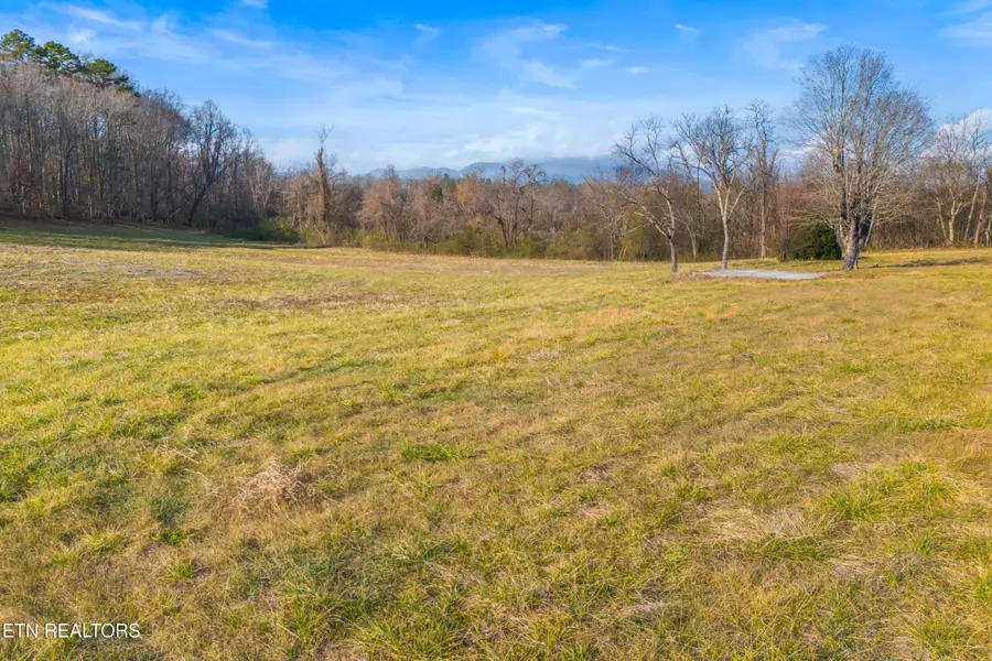 4121 Chavis Rd, Cosby, TN 37722 - Image #3