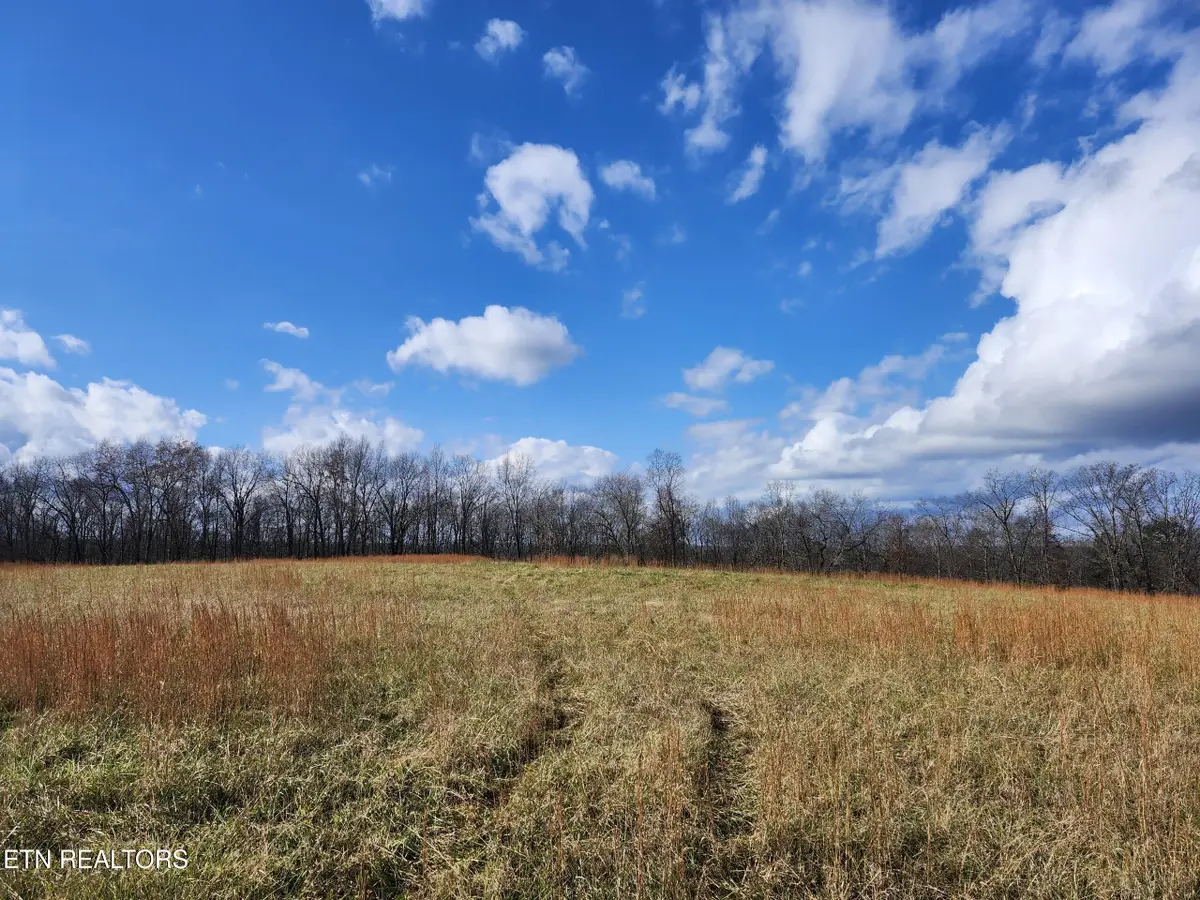 379 Christenson Rd, Deer Lodge, TN 37726 - Image #1