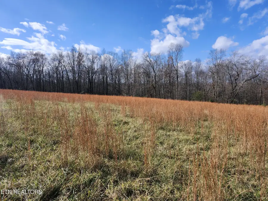 379 Christenson Rd, Deer Lodge, TN 37726 - Image #2