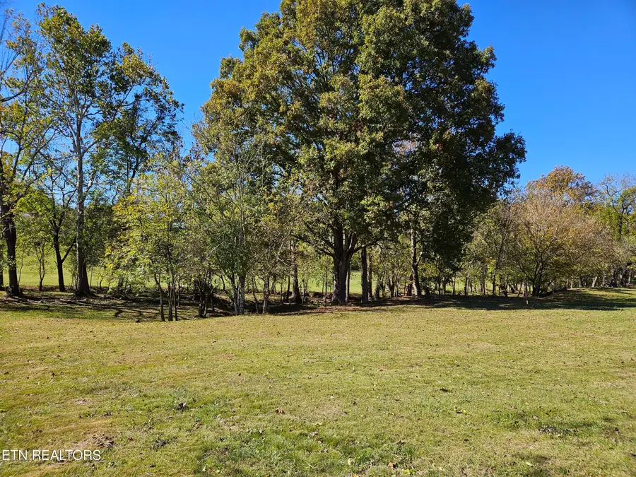 Alvin Lane, Knoxville, TN 37920 - Image #3