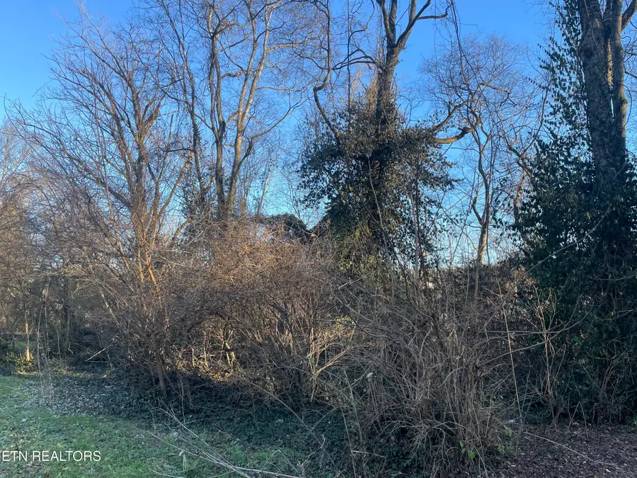 1004 Leconte Rd, Knoxville, TN 37914 - Image #2