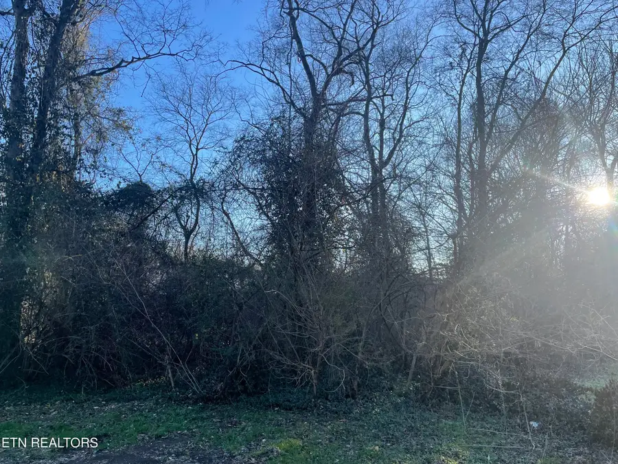 1004 Leconte Rd, Knoxville, TN 37914 - Image #3