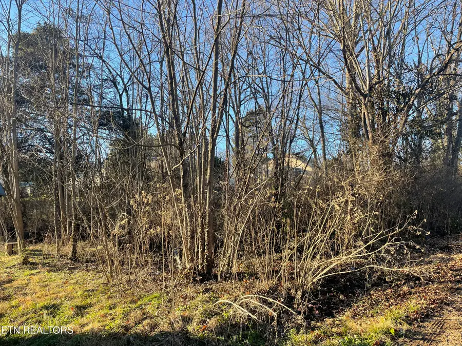 0 Leconte Rd, Knoxville, TN 37914 - Image #3