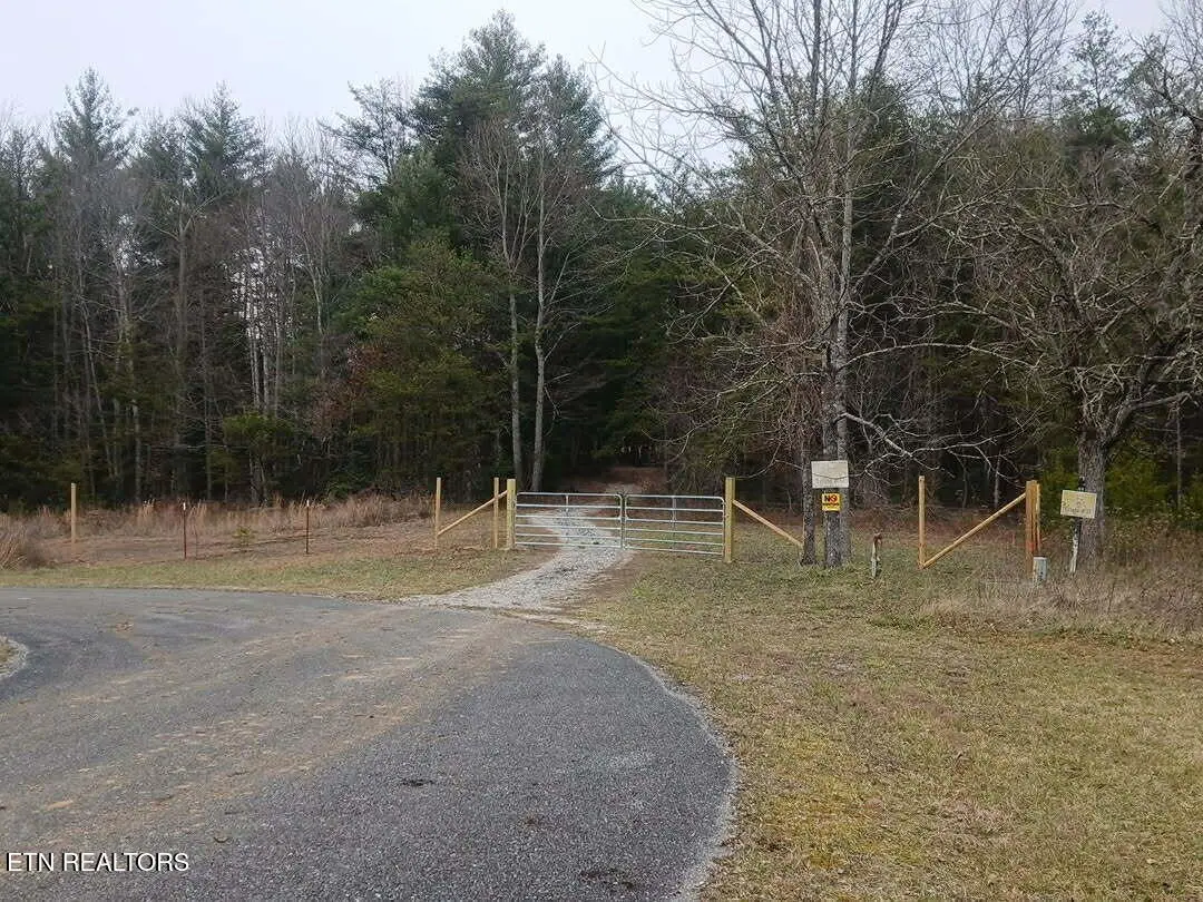 Wild Magnolia, Jamestown, TN 38556 - #1