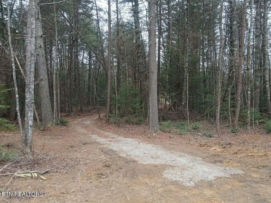 Wild Magnolia, Jamestown, TN 38556 - #2