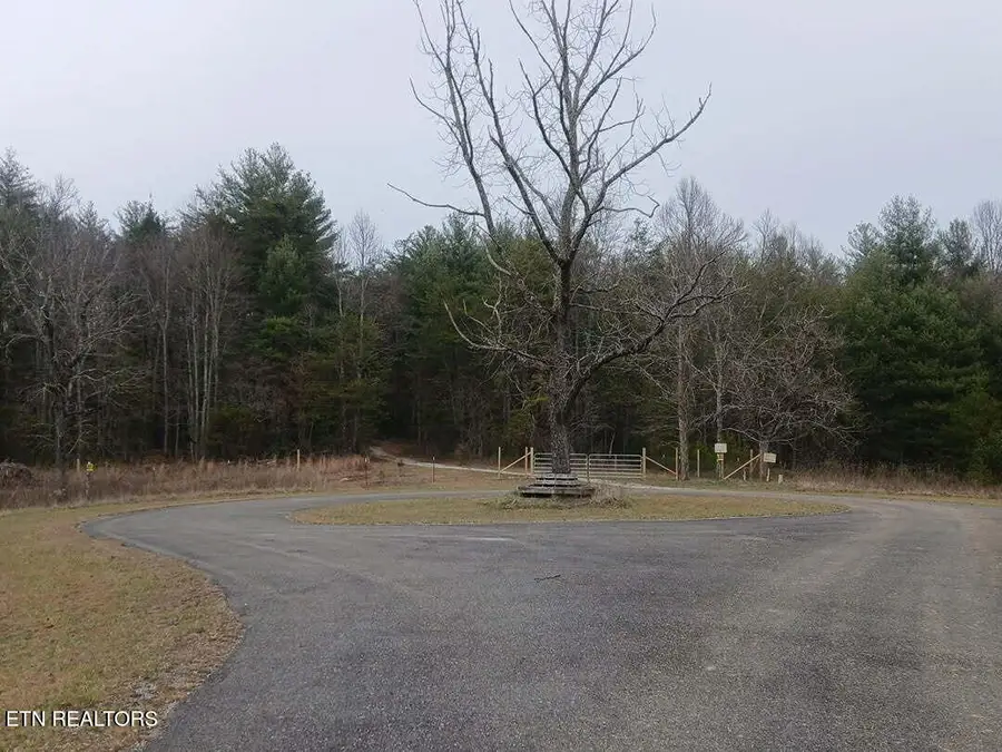 Wild Magnolia, Jamestown, TN 38556 - #3