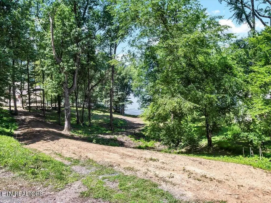 Lot 11 Walnut Bend Drive, Whitesburg, TN 37891 - #3