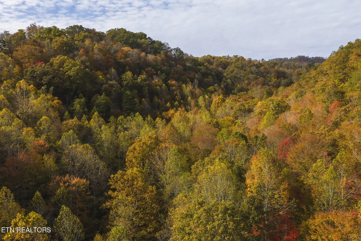 1619-89 ac Lynn Flanary Rd, Blackwater, VA 24221 - Image #1