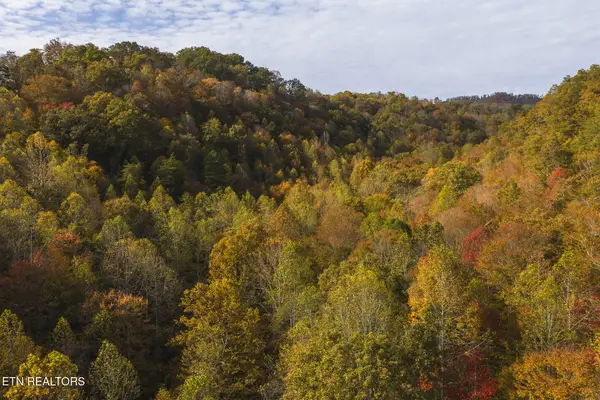 1619-89 ac Lynn Flanary Rd, Blackwater, VA 24221