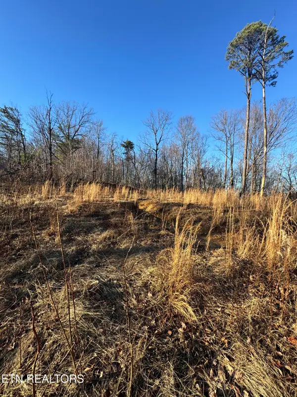 3361 Sugar Maple Loop Rd, Sevierville, TN 37862