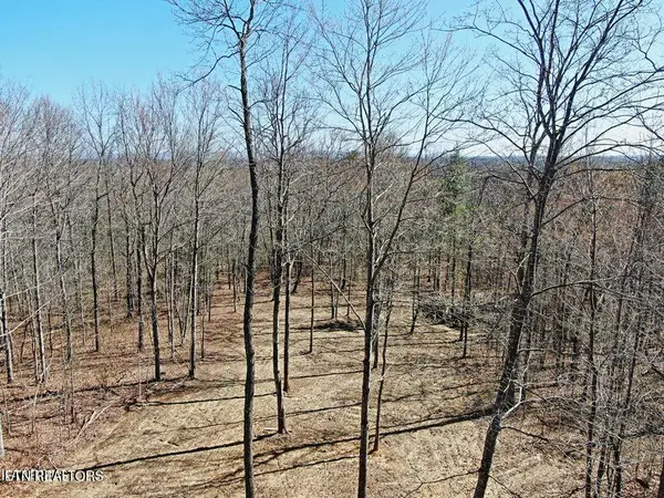 72 Acres Cole Place Rd, Allardt, TN 38504